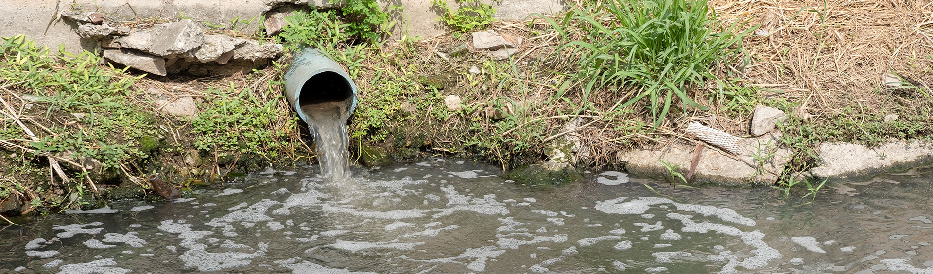 Stormwater Pollution Prevention Plan