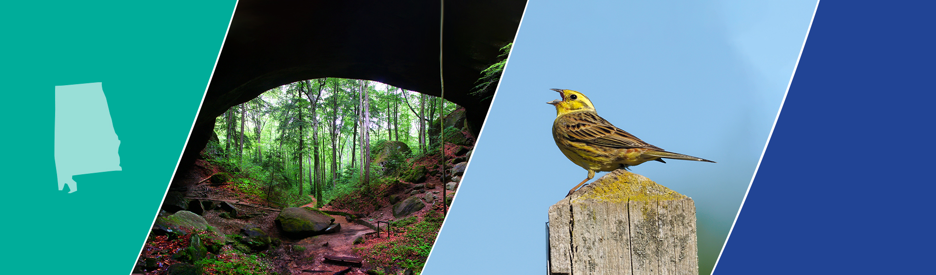 Trinity Consultants Birmingham Office Trinity Consultants