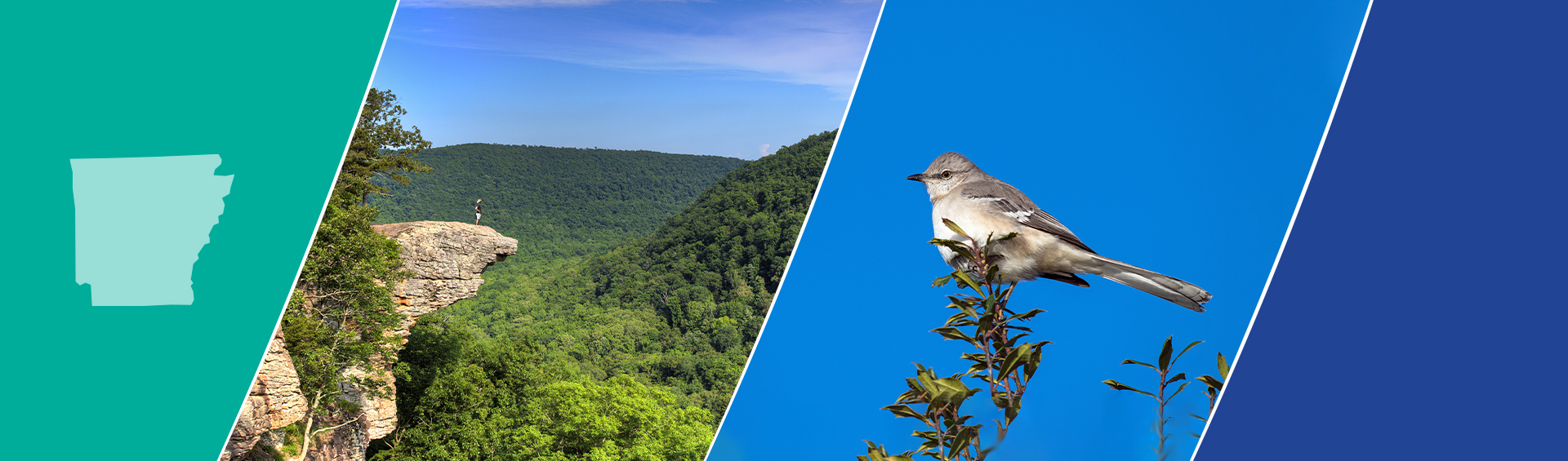 Trinity Consultants Little Rock Office Trinity Consultants