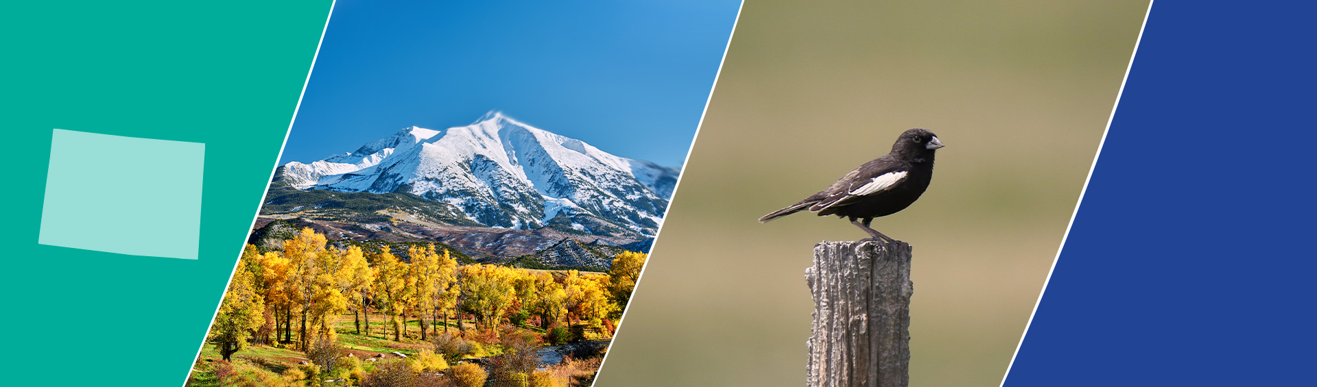 Trinity Consultants Fort Collins Office Trinity Consultants