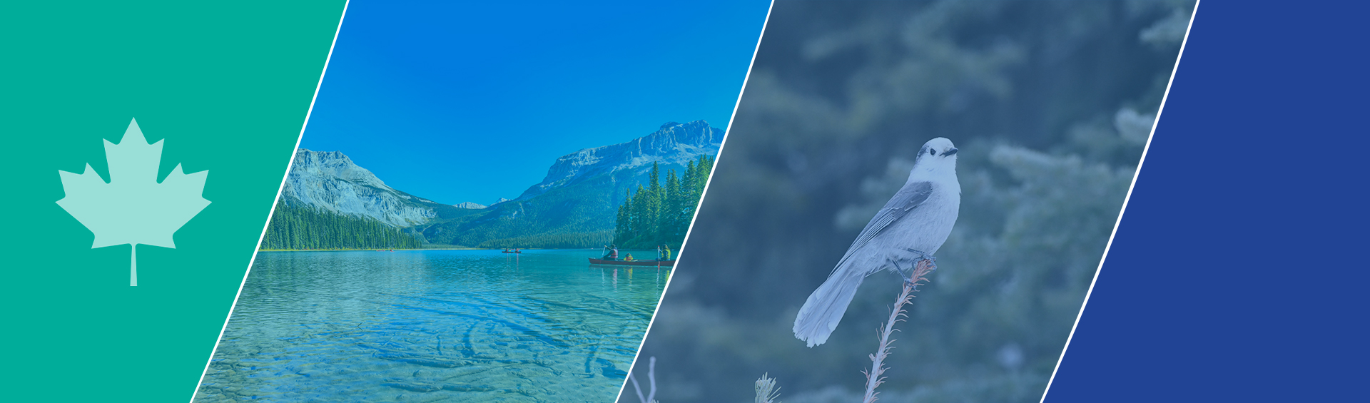 Trinity Consultants Minnow Aquatic Environmental Services Team