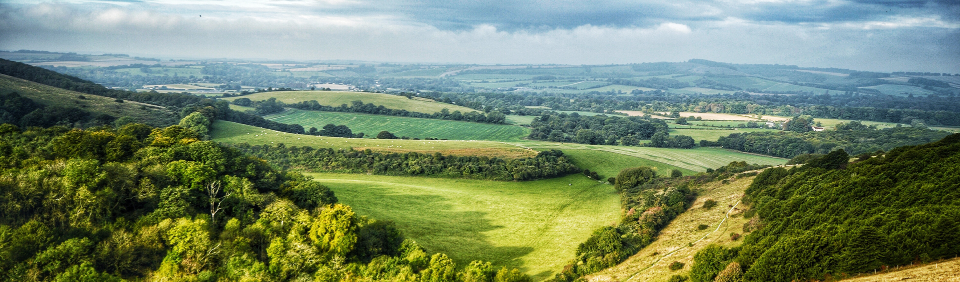 Trinity Consultants Ecological Survey Assessment Services Team