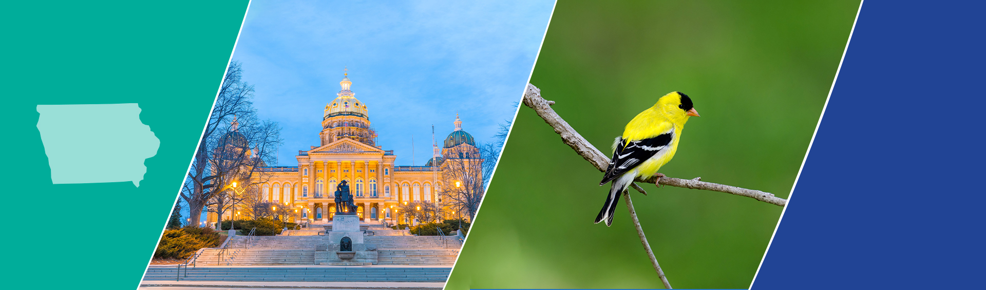 Trinity Consultants Burlington Office Trinity Consultants