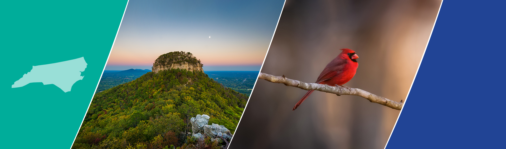 Trinity Consultants Charlotte Office Trinity Consultants