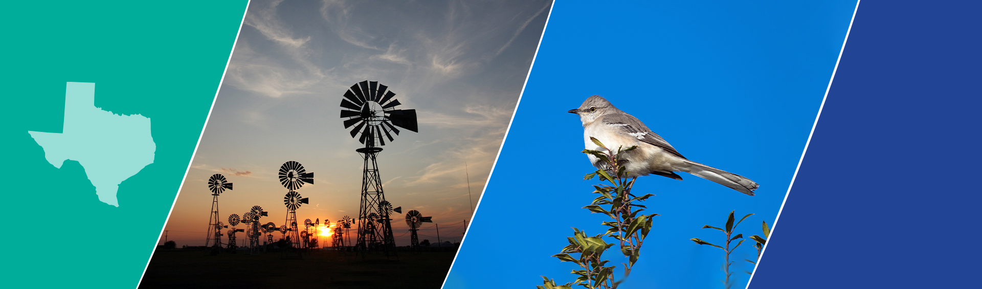 Trinity Consultants Texas office locations Trinity Consultants