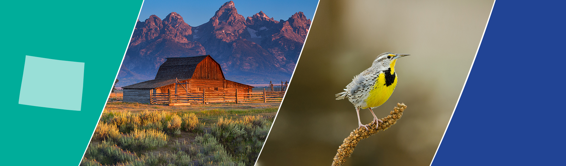 Trinity Consultants Cheyenne Office Trinity Consultants