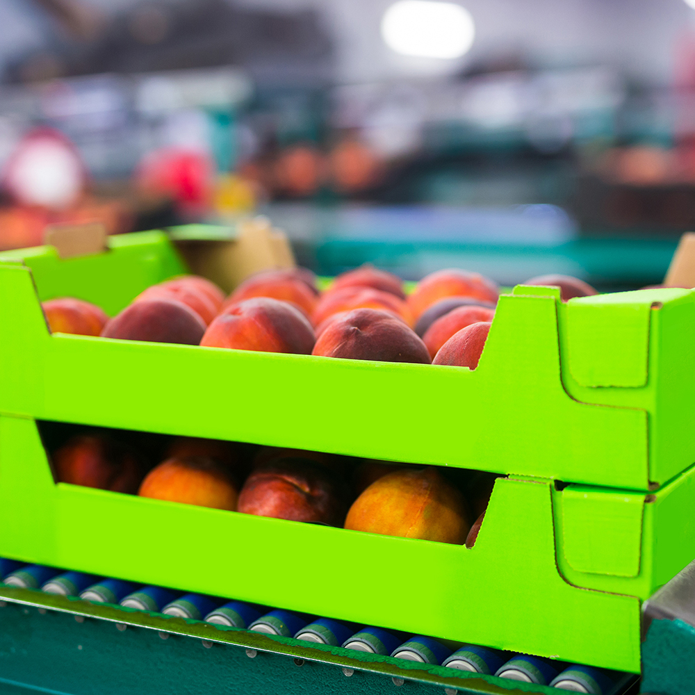 Developing PFAS Regulations in the Food and Beverage Industry