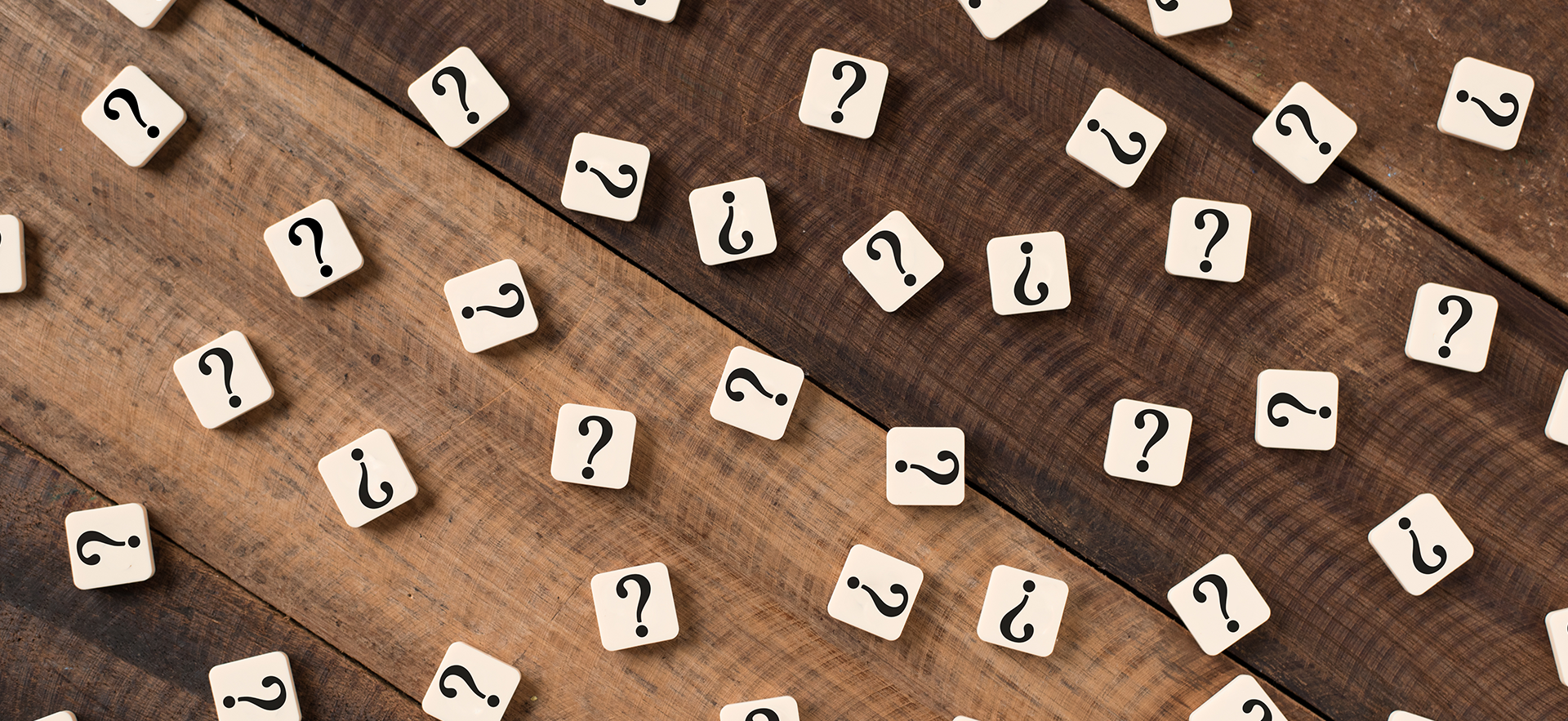 Cement crossword clue